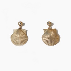 Bay scallop earrings