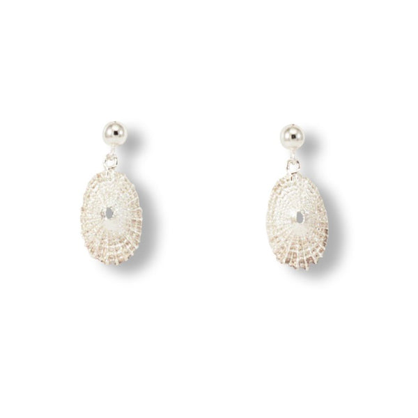 Limpet shell earrings