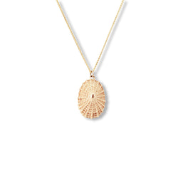 Gold Limpet Necklace
